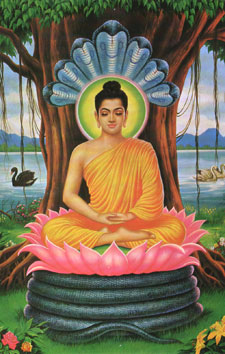 Mindfulness Mindfulness buddha